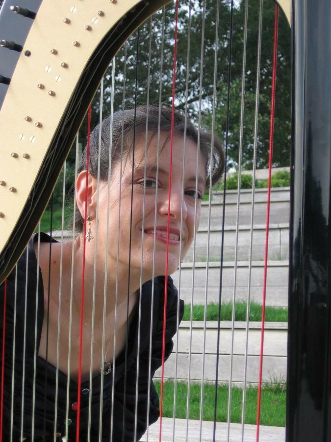 La Chambre Du Harpiste Vallons-de-l'Erdre Kültér fotó